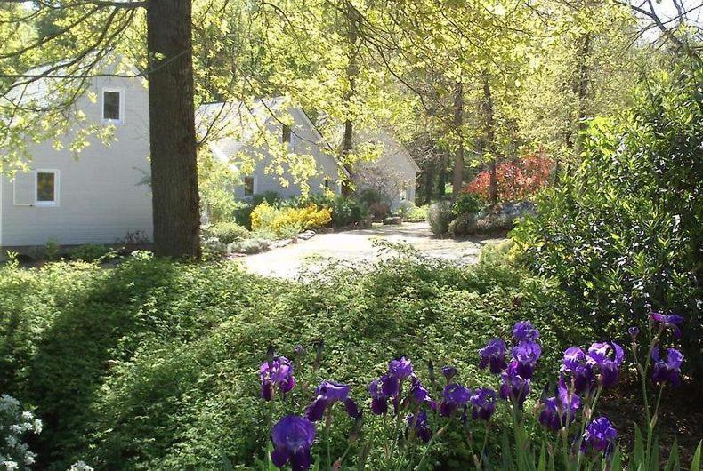 Les Chalets De Saumur, Piscine & Parc Boise, 100M Du Cadrenoir 外观 照片