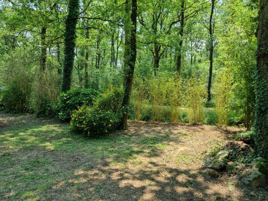 Les Chalets De Saumur, Piscine & Parc Boise, 100M Du Cadrenoir 外观 照片