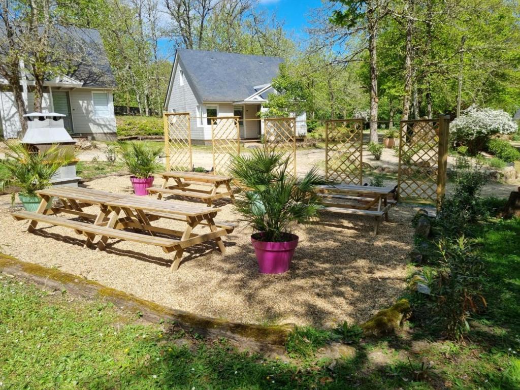 Les Chalets De Saumur, Piscine & Parc Boise, 100M Du Cadrenoir 外观 照片