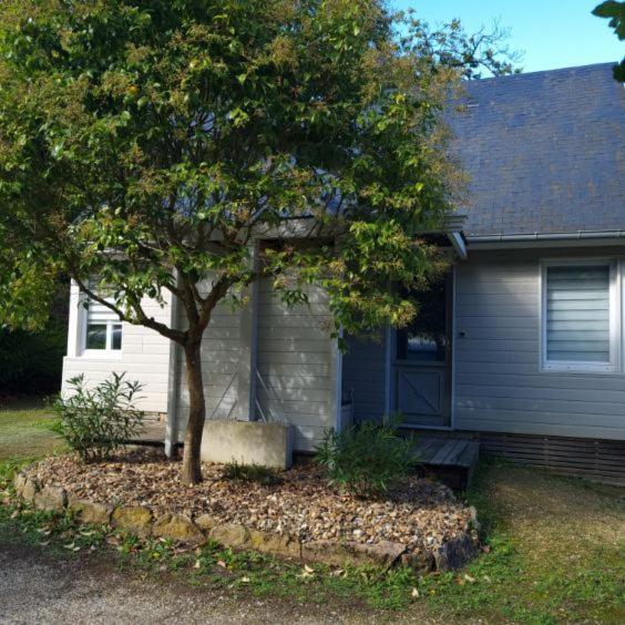 Les Chalets De Saumur, Piscine & Parc Boise, 100M Du Cadrenoir 外观 照片